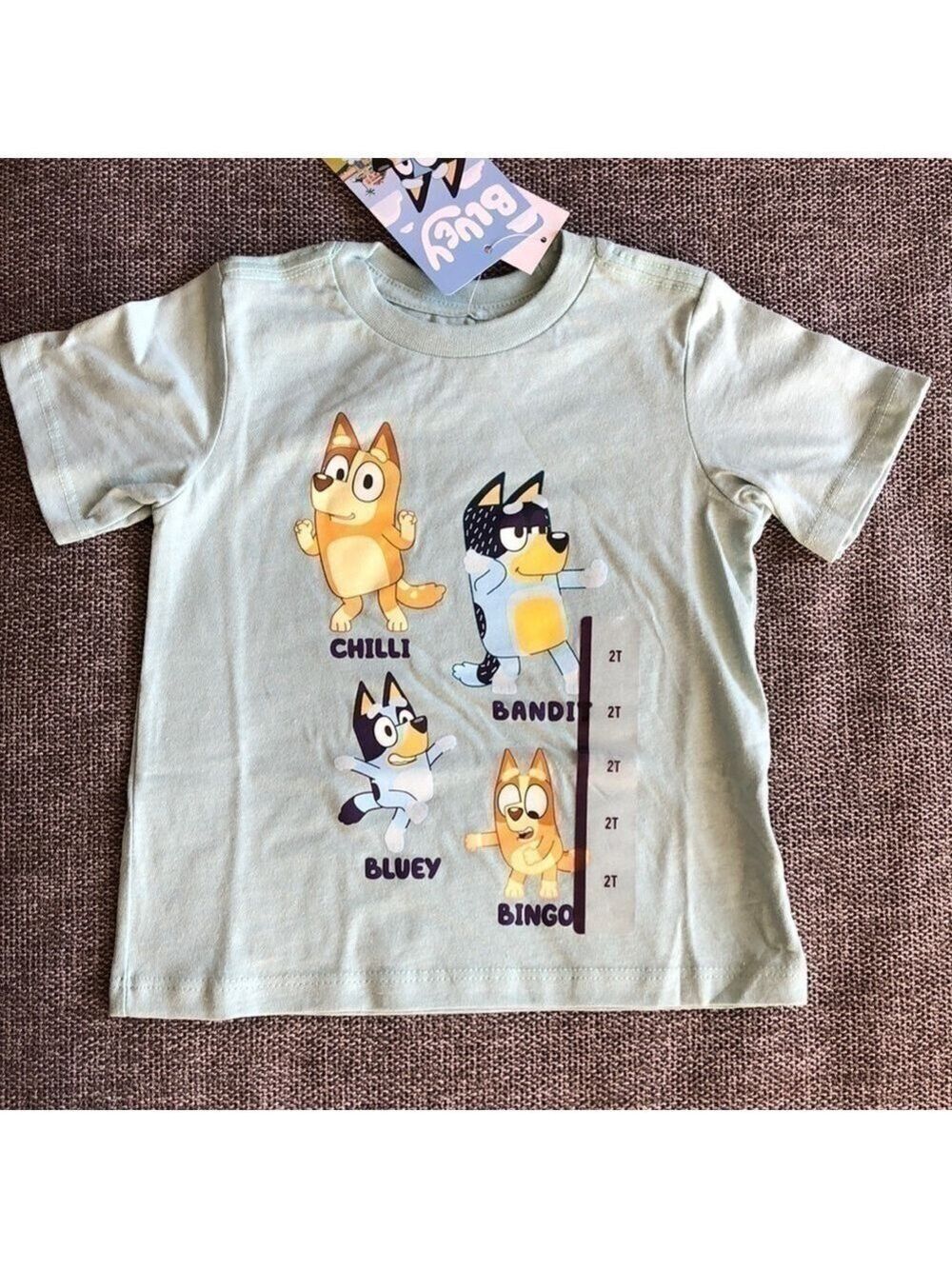 COPY - Moose Toddler Boy Girl Bluey Printed Short Sleeve T-Shirt Green 2T